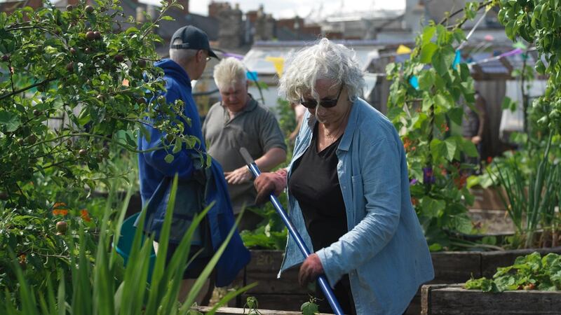 Community gardener Maeve Foreman hoeing weeds in one of the raised beds belonging to Mud Island Community Garden in Dublin