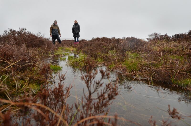 A blanket bog restoration project near the Kippure Gate, Military Road in the Wicklow Mountains National Park. Photograph: Alan Betson

