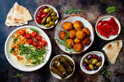 Middle Eastern meze with pita, olives, hummus, stuffed dolma, falafel balls and pickles. 