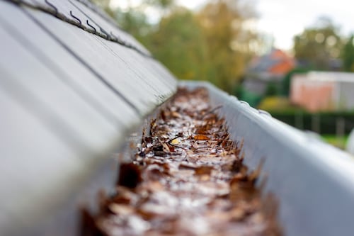Tempted to hire cold callers to clear your gutters? Just say no