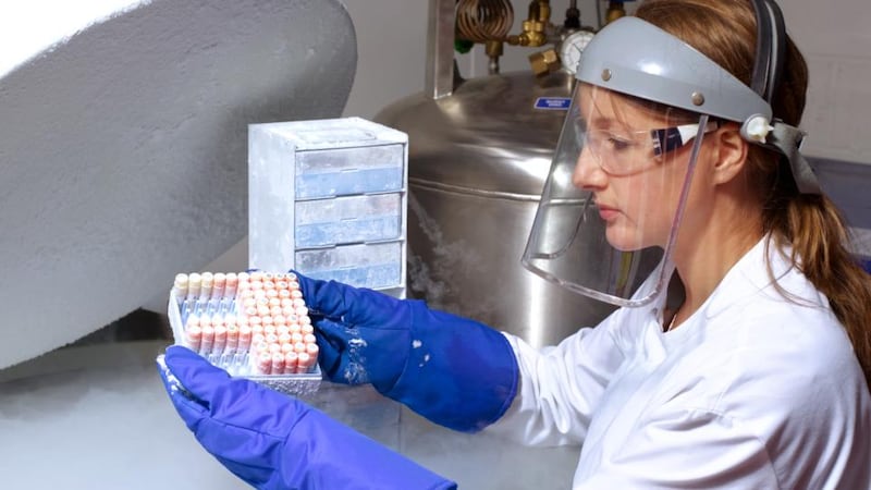 Productivity drive?: egg-freezing is complex and uncomfortable, not an easy way to keep women at their desks. Photograph: Peter Dazeley/Iconica/Getty