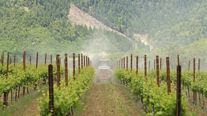 Sulphur dioxide (SO2) prevents oxidation in a wine and wards off harmful bacteria. All wines contain small amounts