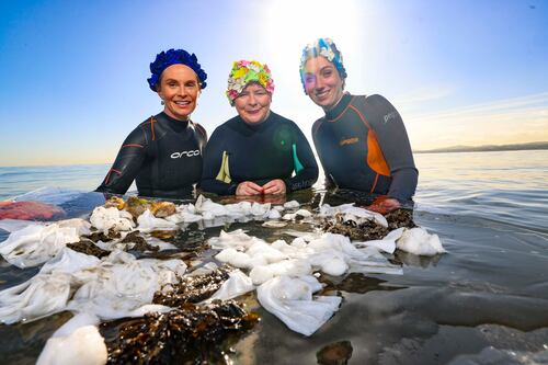 Survey highlights increase in Irish households using toilet as a bin which is taking toll on marine environment