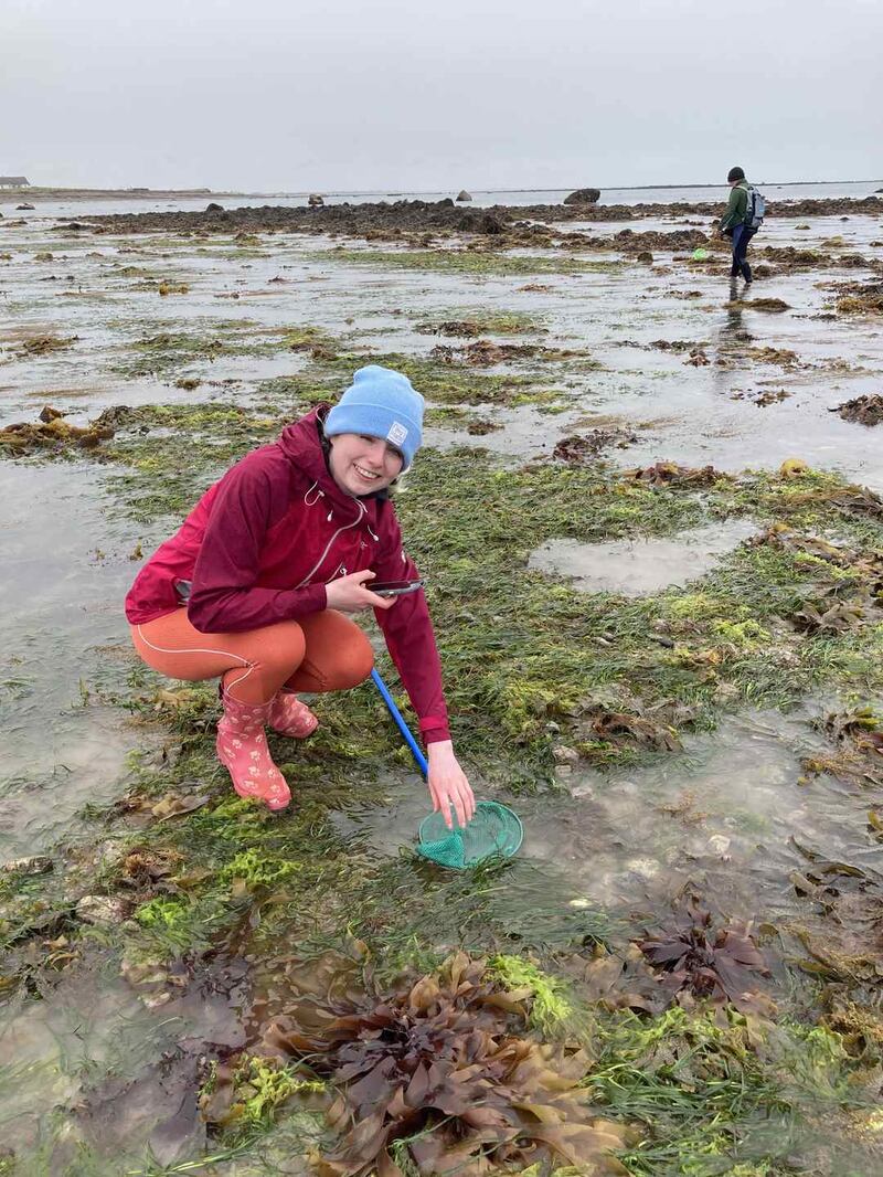 Meg O Doherty of Coastwatch campaign team checking seagrass which has just emerged in spring tide