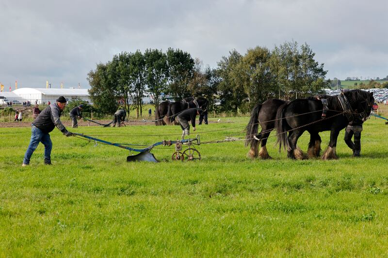 People take part in the horse ploughing section on Wednesday. Photograph: Alan Betson/The Irish Times