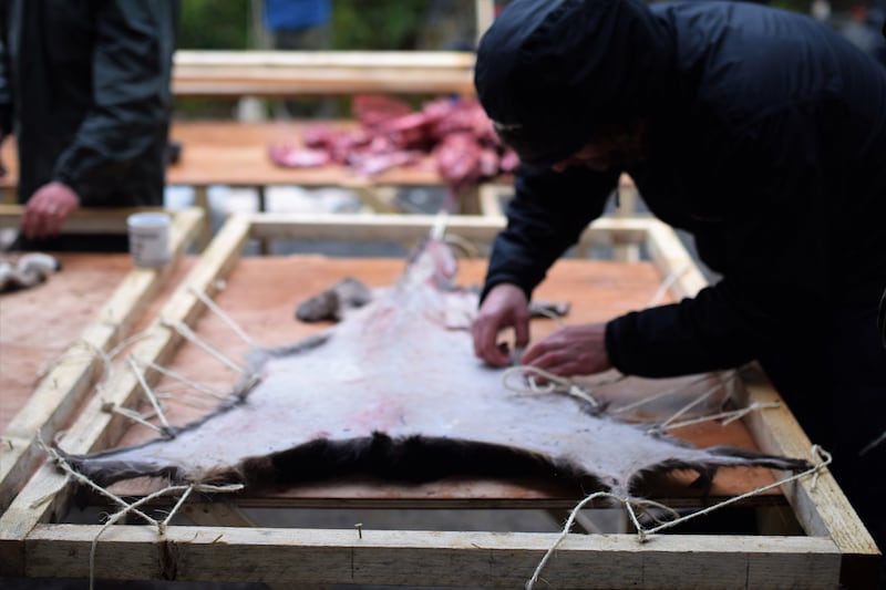 The idea of the deer tanning on retreats is to acknowledge what it is to eat meat, Diarmuid Lyng says