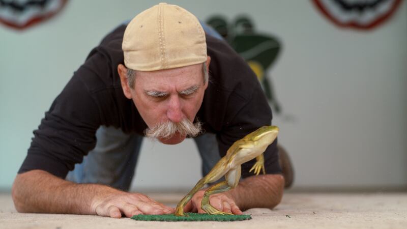 Frog jumping on We Are the Champions. Photograph: Netflix