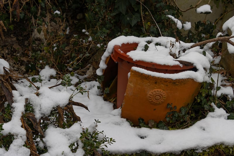 Many pots and plants need to be protected against autumn frosts and winter snow. Photograph: Alamy/PA