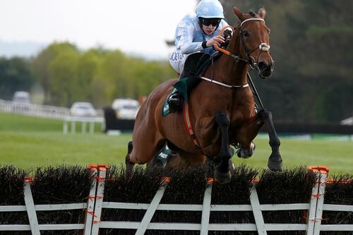 Honeysuckle makes it a sweet 16 of wins in front of record Punchestown crowd