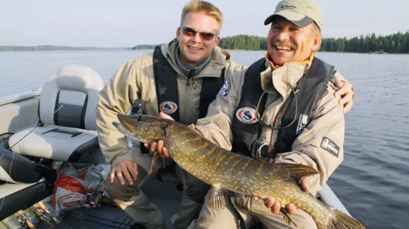 A good-sized pike from the many lakes in the Zanderland region of Tampere in Finland