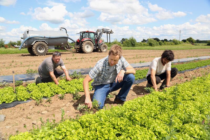 'The weather is clearly having an impact on our food production' - Kenneth Keavey of Green Earth Organics in Co Galway. Photograph: Joe O'Shaughnessy