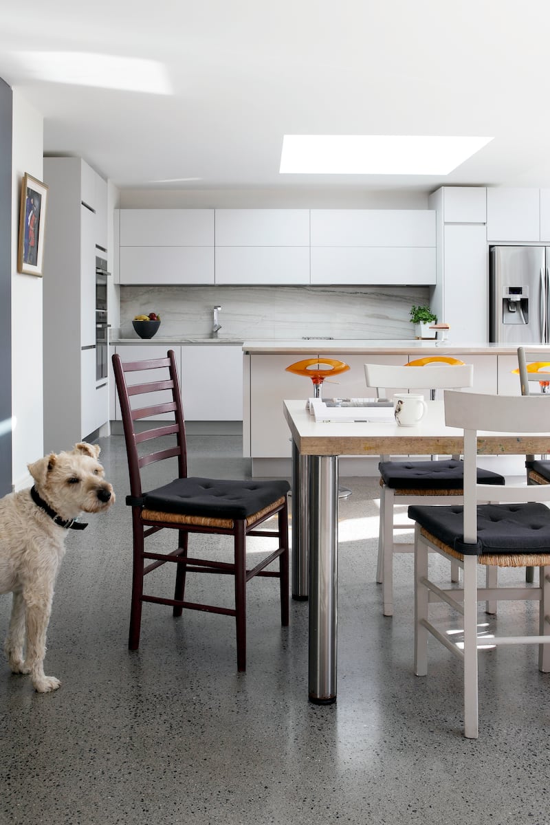 As with humans, natural light has specific health benefits for pets.