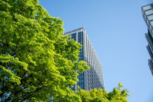 A simple solution to climate problems faced by cities: soil and plants