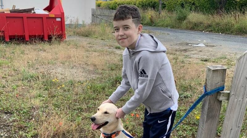 Cian and Cooper at the site where the holding kennels will be constructed. Photograph: Cian’s Kennels