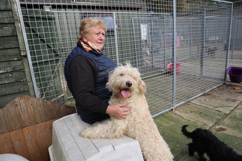 Fiona Gammell at the Wicklow Animal Welfare centre. Photograph: Nick Bradshaw 