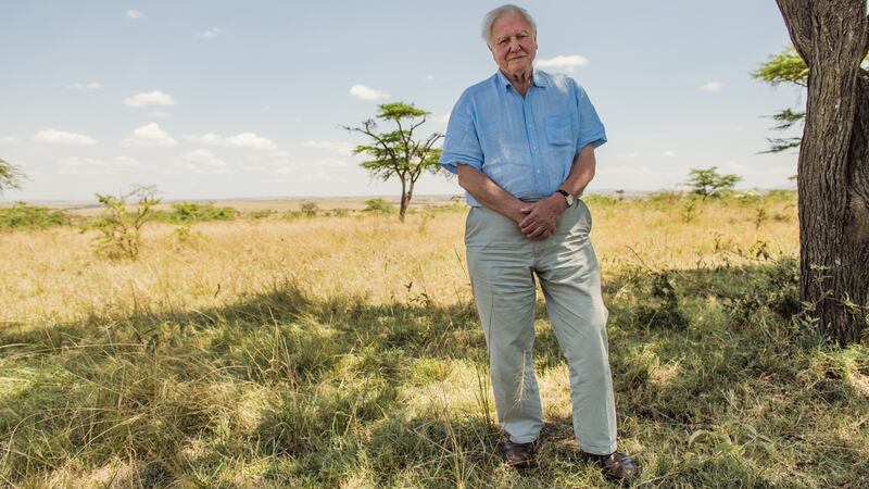 Sir David Attenborough in the Maasai Mara, Kenya. Photograph: Netflix