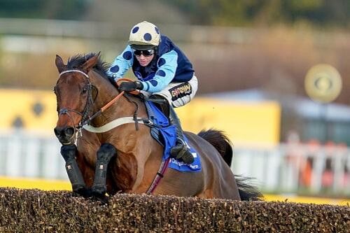 Edwardstone cross-channel favourite for Cheltenham