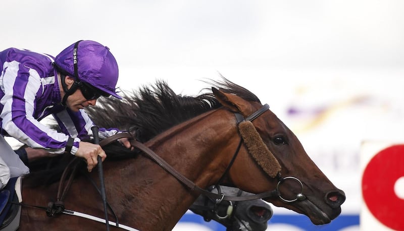 Hydrangea sprang a 20-1 surprise in the Coolmore Matron Stakes, beating her stable companion Winter by a head. Photograph:  Alan Crowhurst/Getty Images