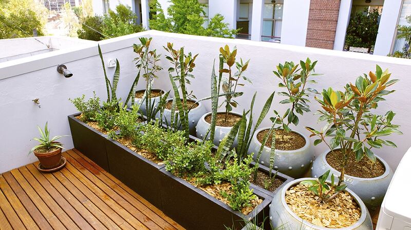 A classic potted balcony garden.