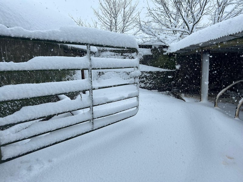 Heavy snow in Kiskeam, Co Cork. Photograph: Dan Dennehy