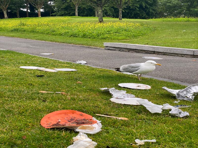 A gull inspecting the rubbish from a torn bin bag at Millenium Park, Galway