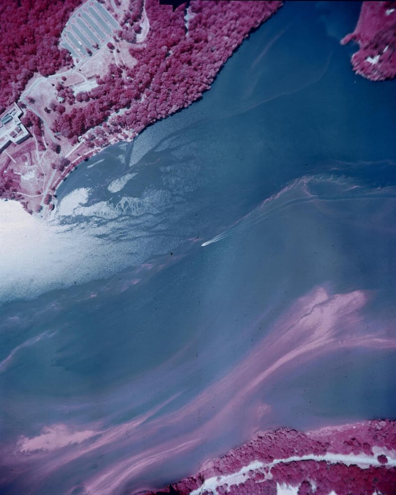 Streaks of algae can be seen clearly in this infrared view of the Potomac estuary below Washington DC.