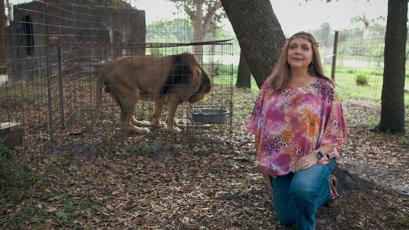 Carole Baskin in Tiger King, Netflix’s first huge hit of the pandemic. Photograph: Netflix