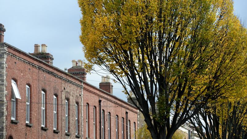 Bloomfield Ave, Portobello, Dublin. Photograph: Dara Mac Dónaill