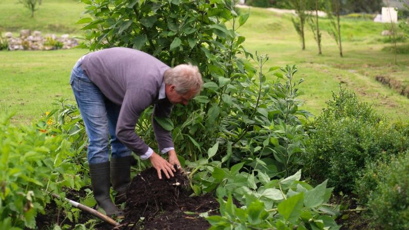 Time to get planting your vegetable patch.