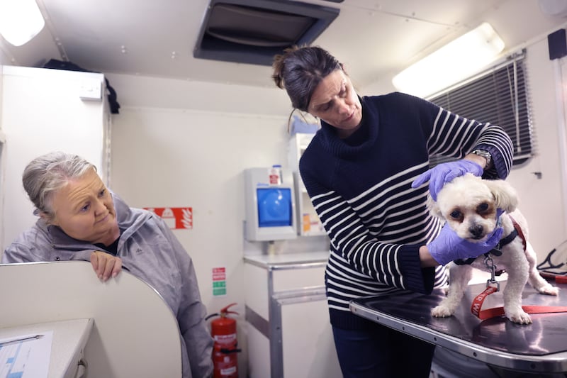 Volunteer Pamela Cahill and Vet Fiona O’Leary with Thor, at the Blue Cross Animal Mobile Clinic. Photograph: Dara Mac Dónaill










