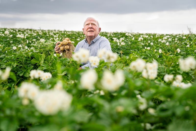 Paddy the Potato Merchant: Paddy Monaghan from Co Meath, a
potato farmer who made a fortune in Perri potato crisps. Photograph: Ross O'Callaghan