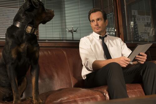 Show Dogs review: Talking dog film makes no sense