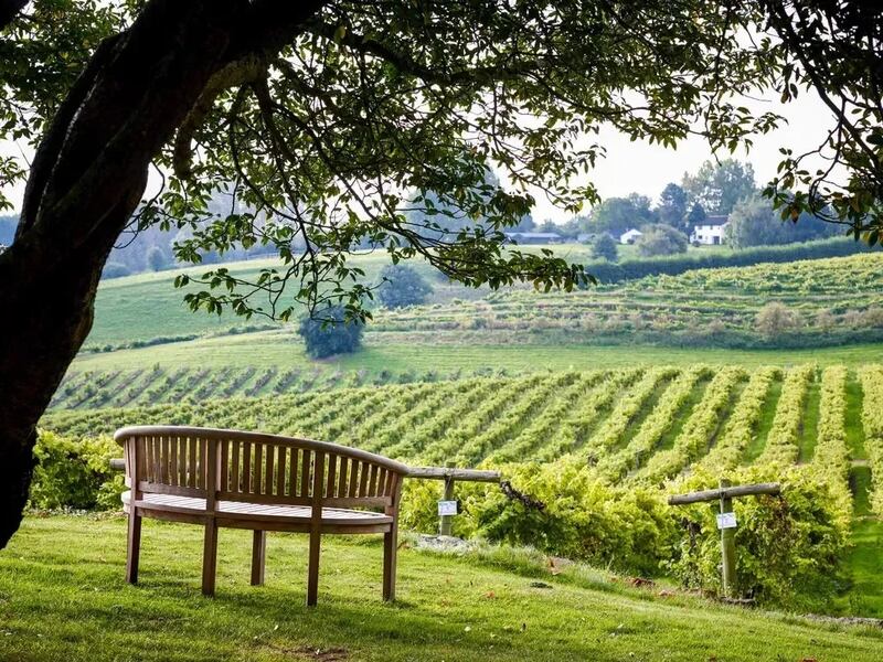 Three Choirs vineyard, Gloucestershire.