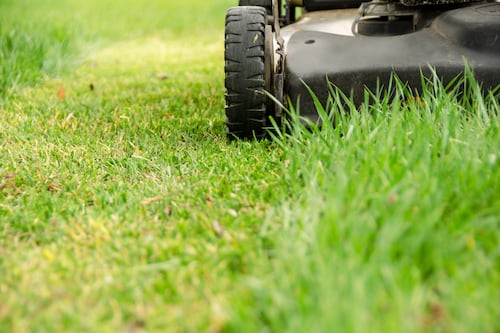 Where do we start with sowing a traditional lawn around our new-build house?