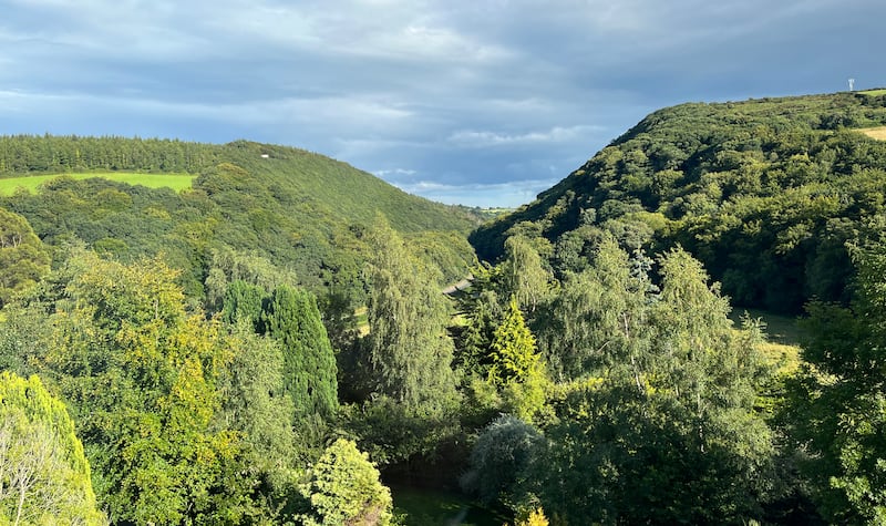 Glen of the Downs, Co Wicklow, bisected by the M11 motorway, is a 2km long wooded glacial valley, designated a nature reserve and special area of conservation. Photograph: Bryan O’Brien 