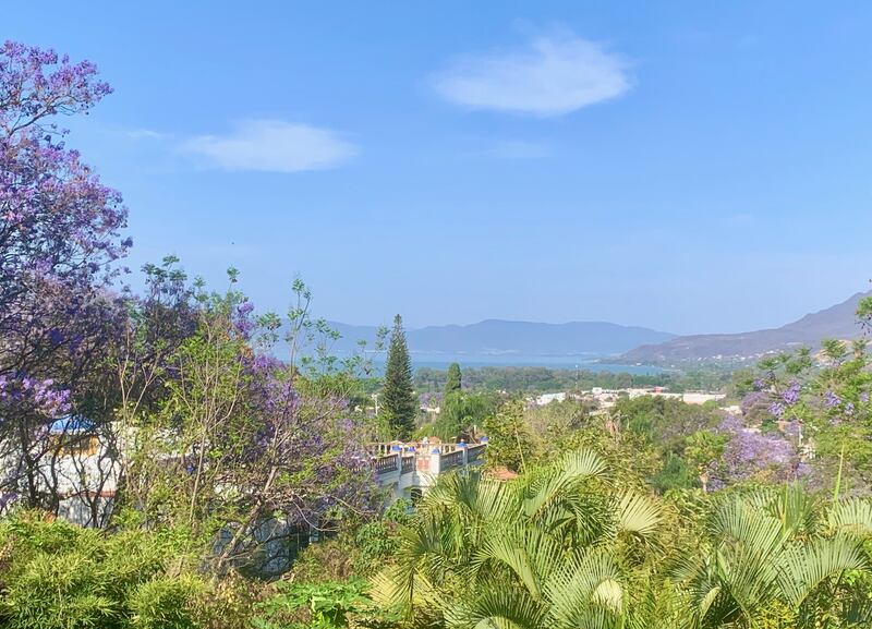 The view from Yvonne Watterson's house near Guadalajara in Mexico.