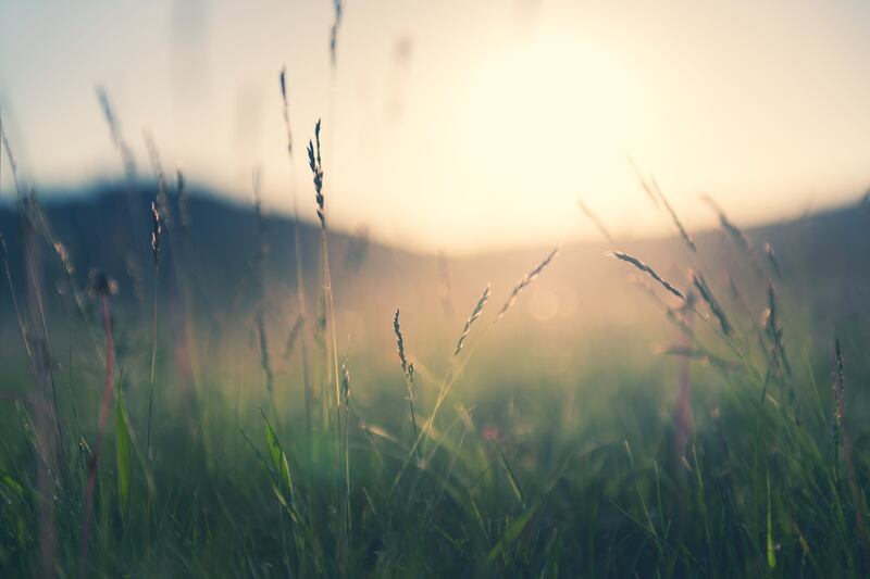 In the mountains at sunset: 'Silence is not the absence of something but the presence of everything.' Photograph: Olga Gavrilova/Getty Images/iStockphoto