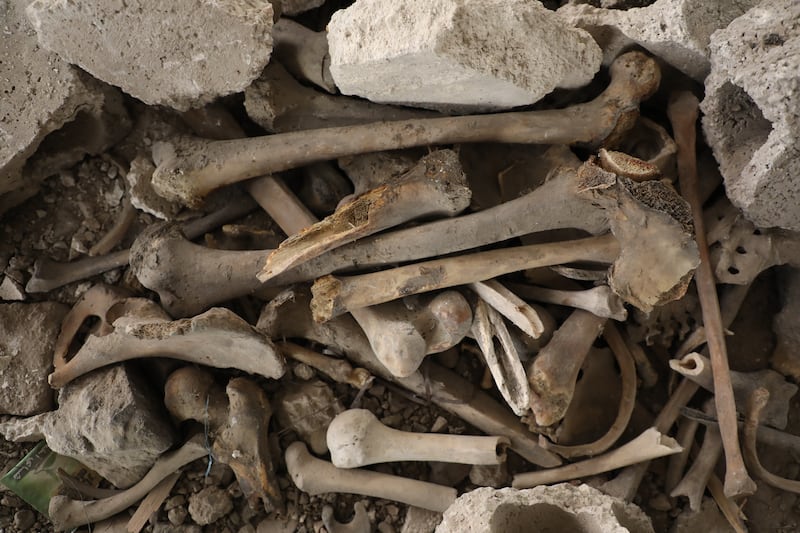 A pile of bones on the floor of a ruined building Tadamon in December. Photograph: Ali Haj Suleiman/Getty Images