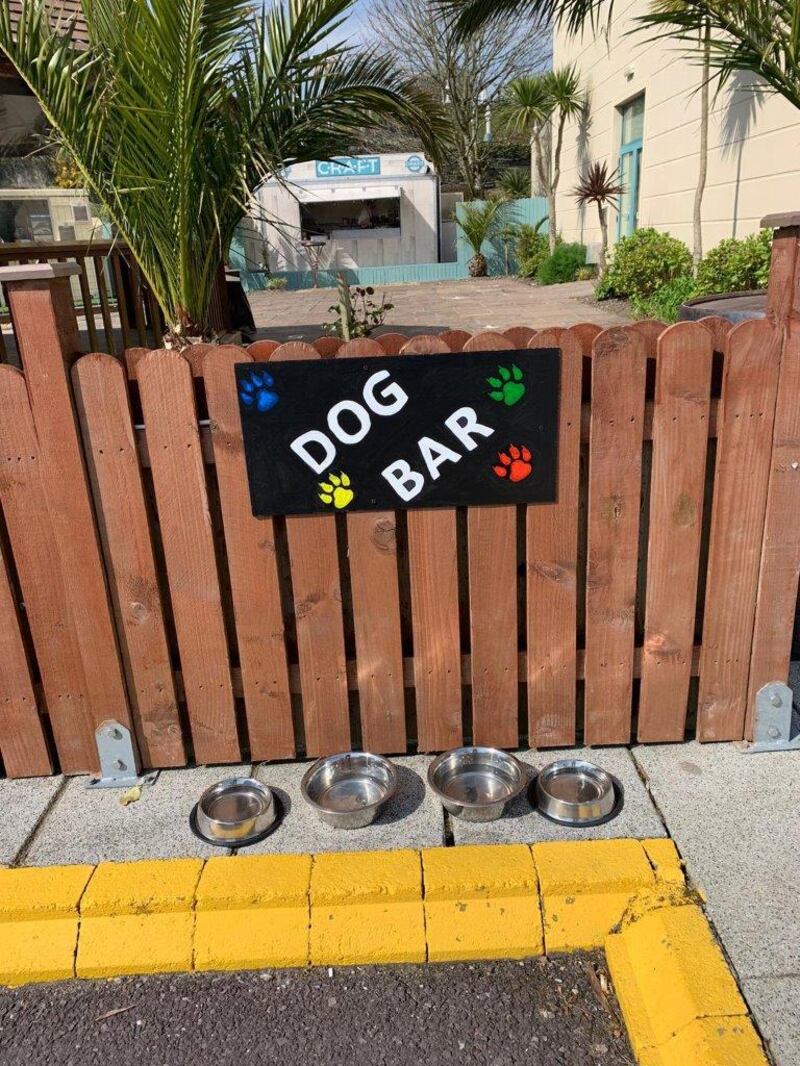 Dog bar at the Celtic Ross Hotel