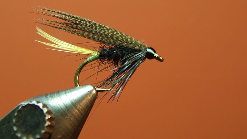 Connemara and Black Variant, tied by Jimmy Tyrrell.