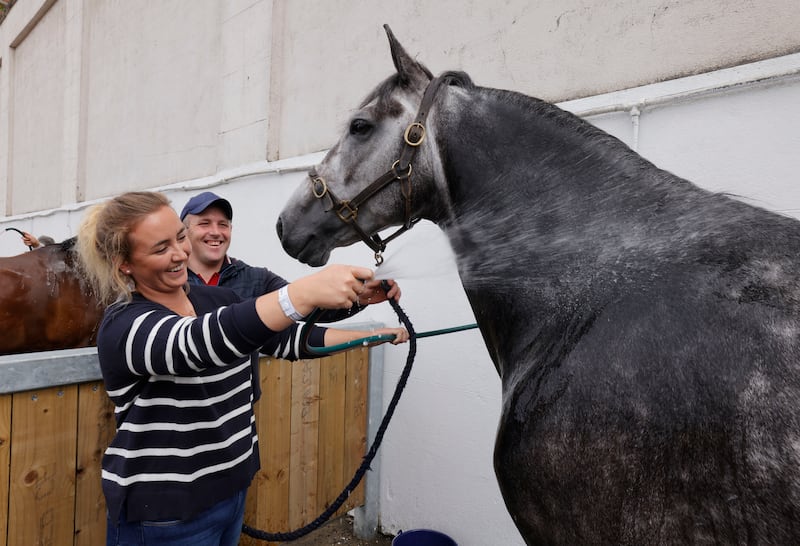 Kate Devine and Sean Looney from Waterford with Irish Draught stallion Benlows Hero getting a wash down. Photograph: Alan Betson

