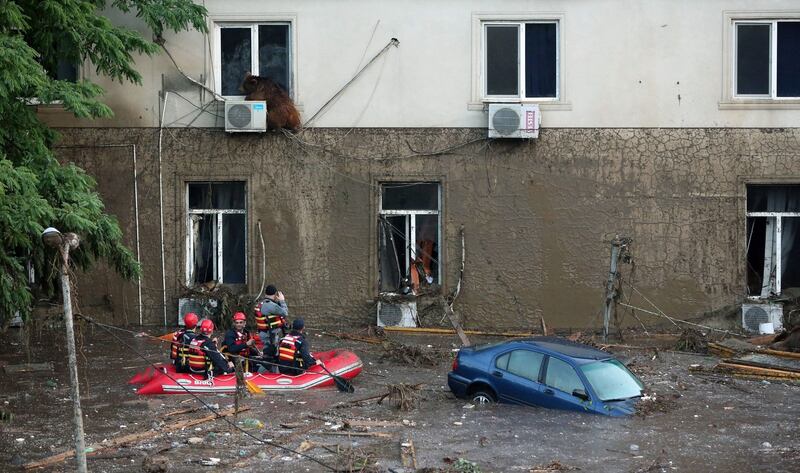 A runaway bear sits at second-floor window on a flooded street in Tbilisi. Photograph: EPA