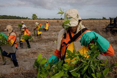 Climate victims testify at inter-American rights court in historic case