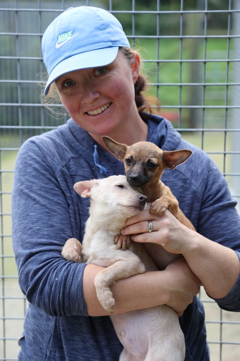 Volunteer Fiona Kynes with puppies at the rescue centre. Photograph: Nick Bradshaw 