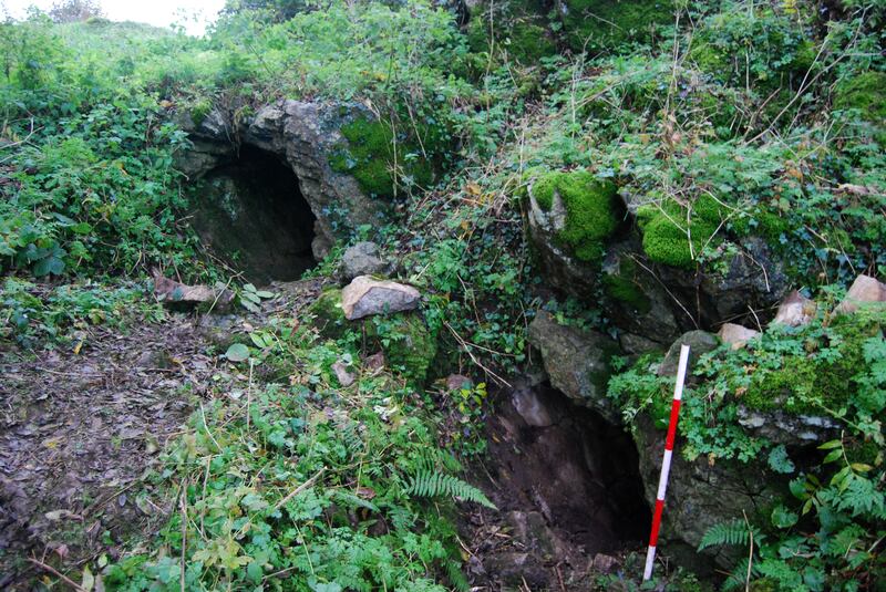 The sampled teeth were part of a larger skeletal assemblage excavated from Killuragh Cave, Co Limerick by the late Peter Woodman of University College Cork. Photograph: Sam Moore