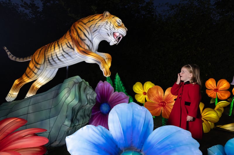 Kate Cosgrove (3) at this year's Wild Lights. Photograph: Patrick Bolger