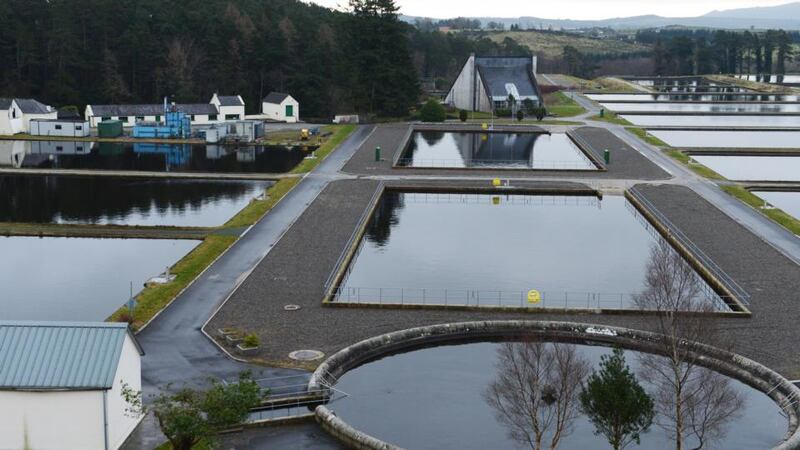 The Vartry Reservoir in Co Wicklow where a 153-year-old tunnel at Callow Hill is a “very vulnerable part” of the water supply system for the capital, according to the Environmental Protection Agency. File photograph: Cyril Byrne/The Irish Times