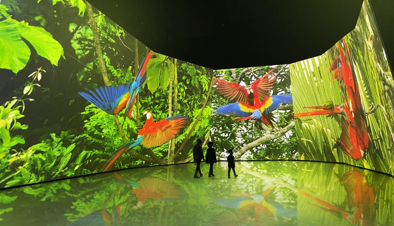 A CGI impression of the inside of the BBC Earth Experience in London. Image: BBC Earth Experience/PA