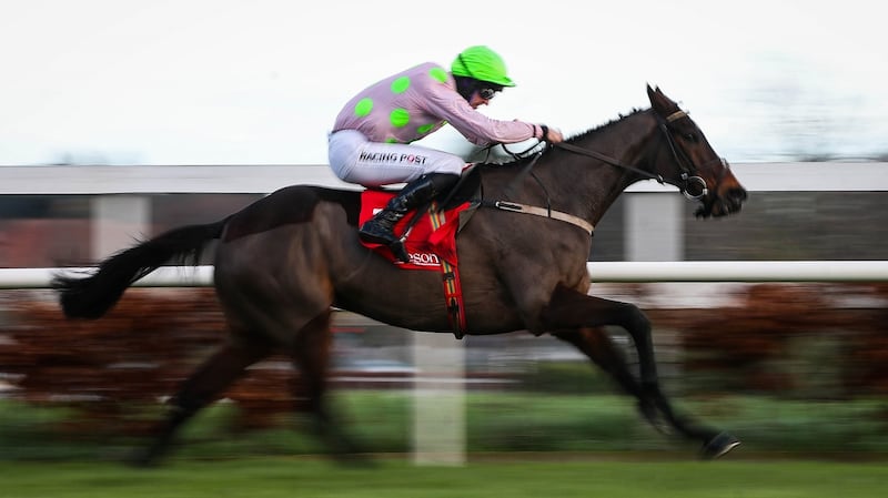 Patrick Mullins onboard Sharjah comes home to win  the the Matheson Hurdle at Leopardstown last Christmas. Photograph: Ryan Byrne/Inpho