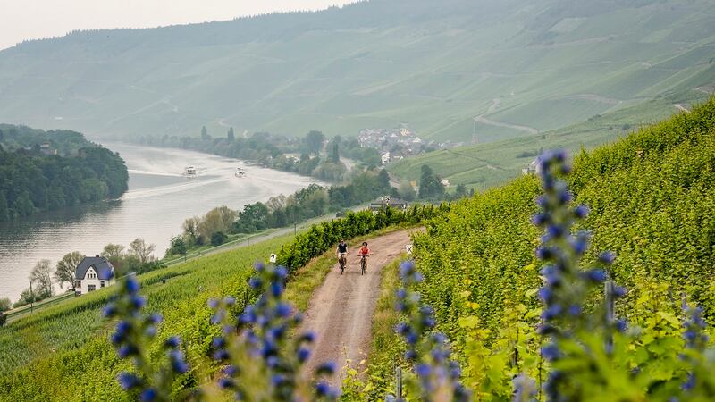 Germany has many cycling trails on offer. Photograph: Günter Standl